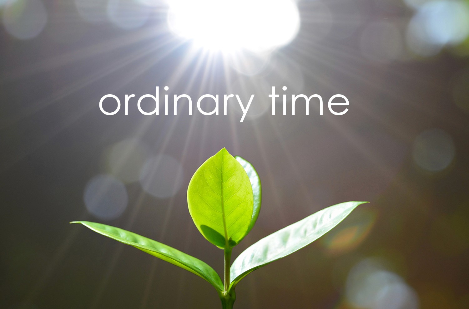 Ordinary Time
