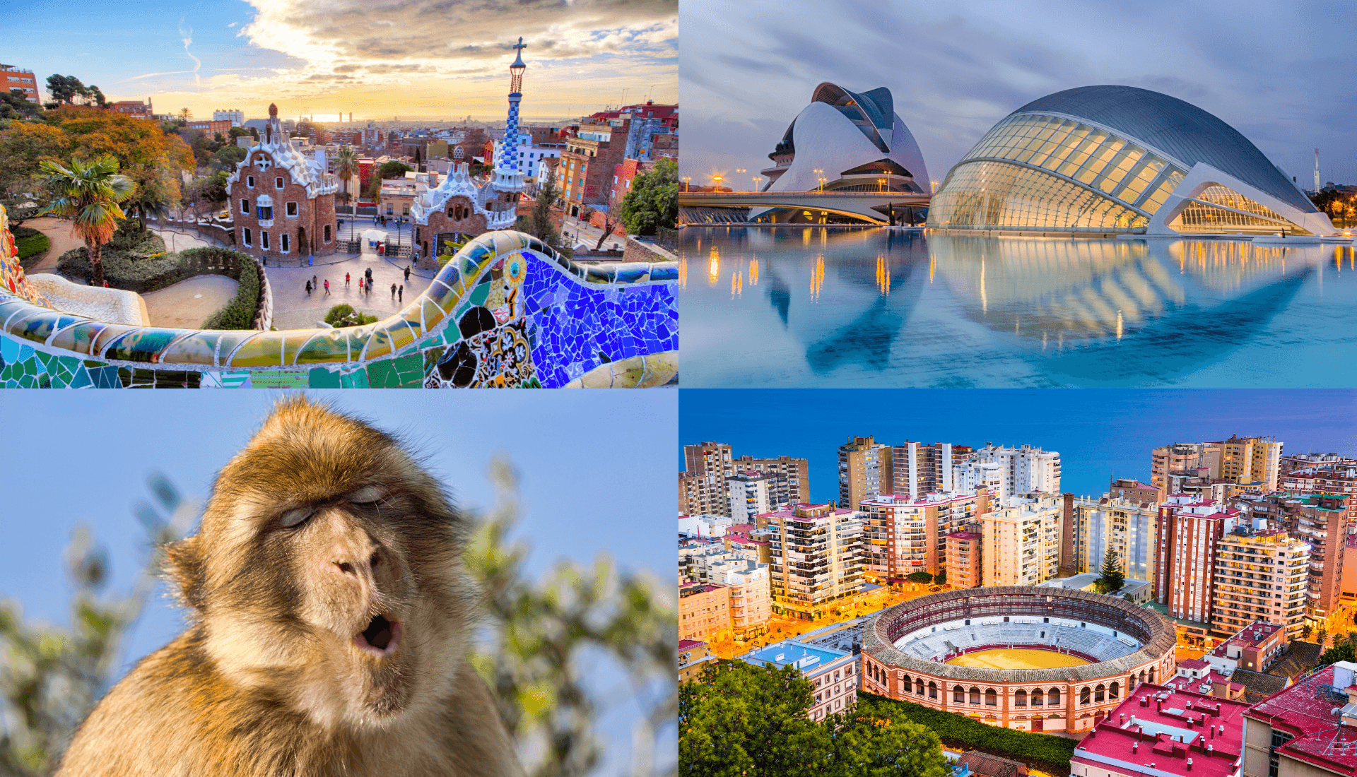 Real Estate Property image 5