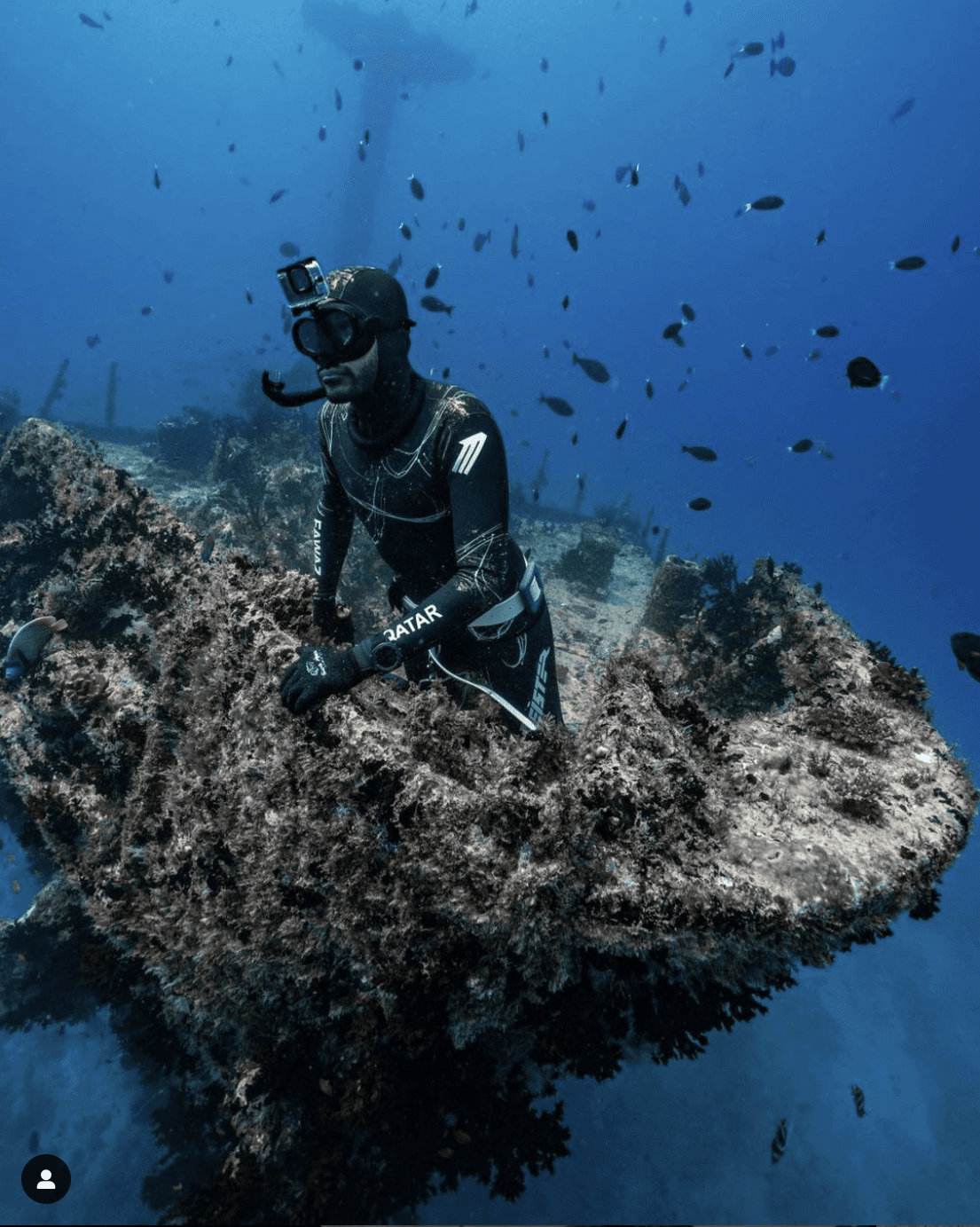 freediver meister spearfishing
