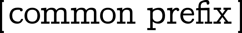 Common Prefix