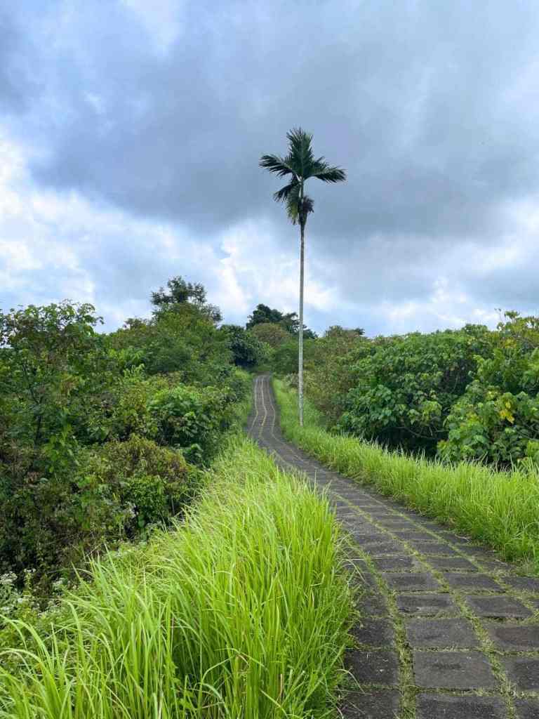 Campuhan Ridge Walk trail, Bali