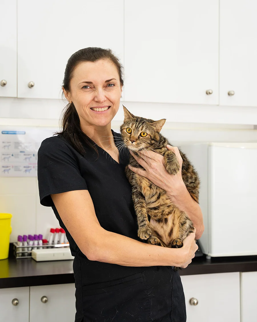 Dr. Paulina Czerska holding a tabby cat after an allergy test in the clinic.