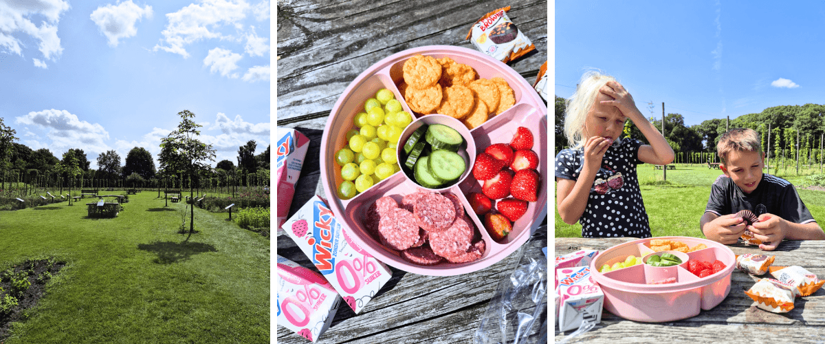 Picknicken in de A. Vogeltuinen