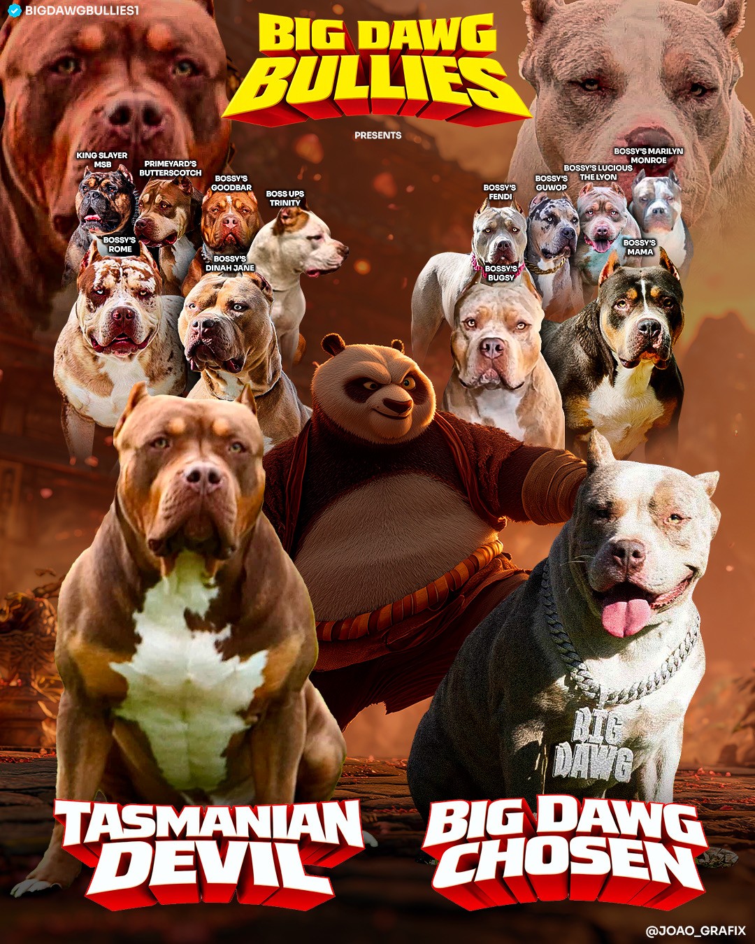 American Bully XL Puppies for Sale