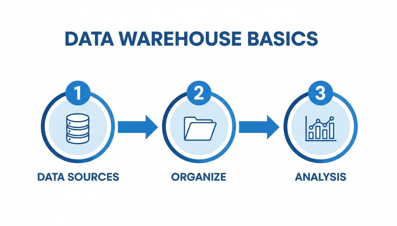 Diagram illustrating the 3 basic steps of a data warehouse: data sources, organize, and analysis.