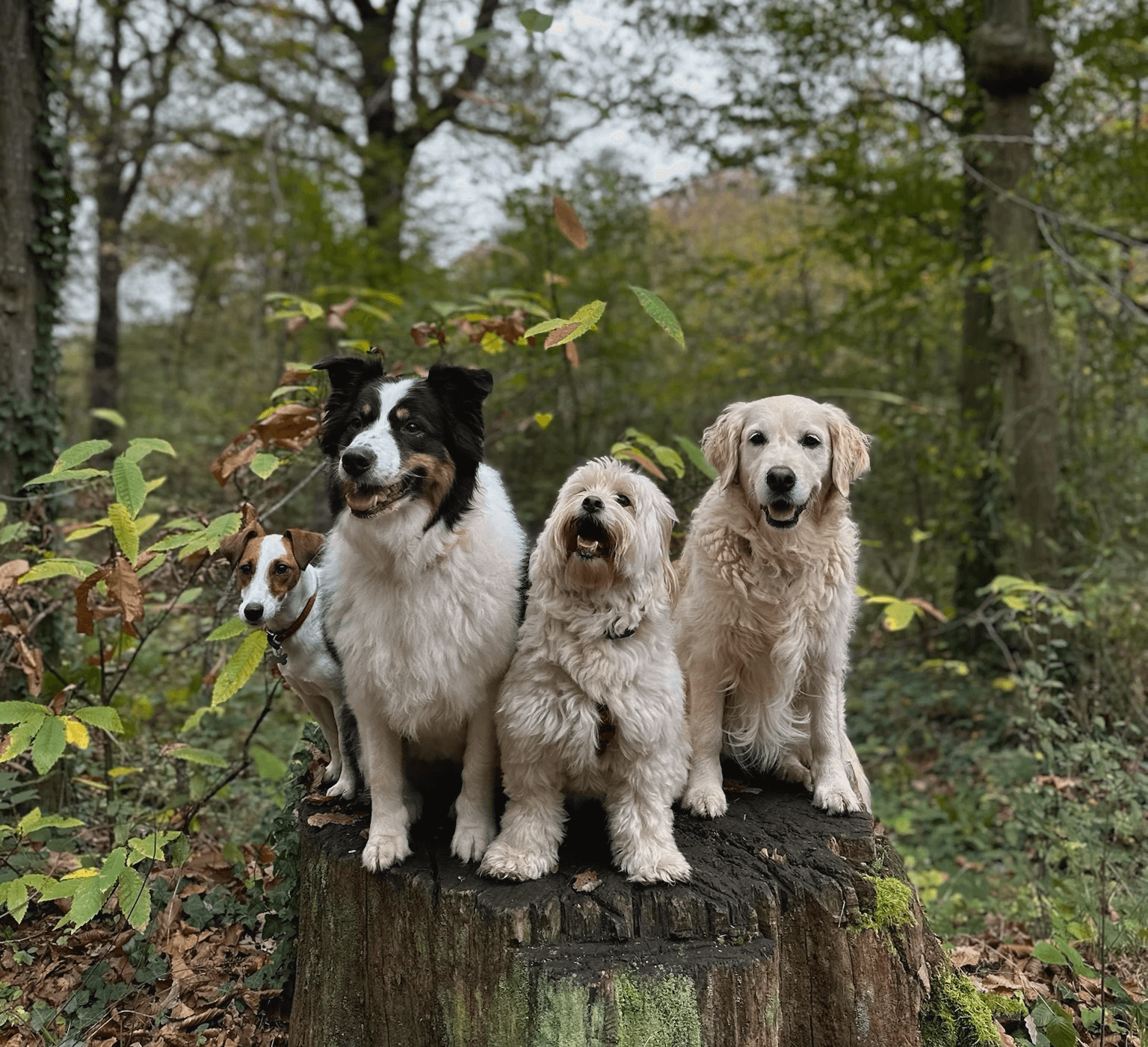 Una&Co Photo Balade éducative