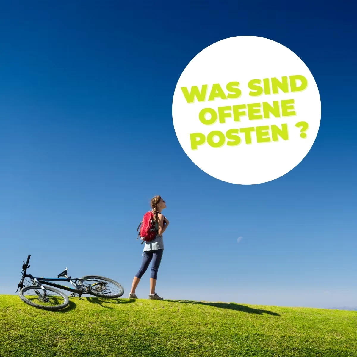 Offene-Posten-Buchhaltung