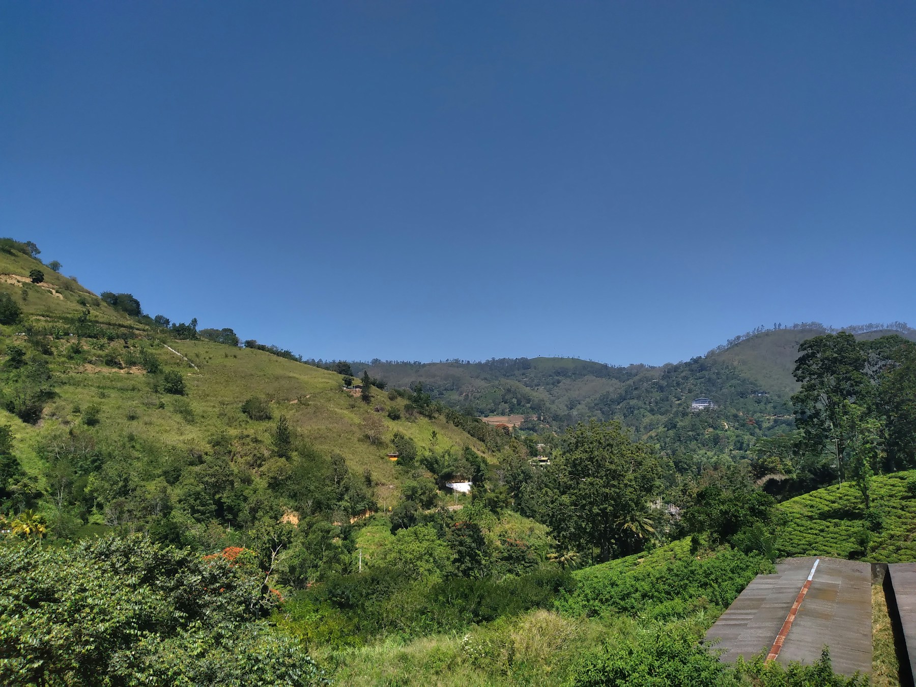 Sri Lanka hill country