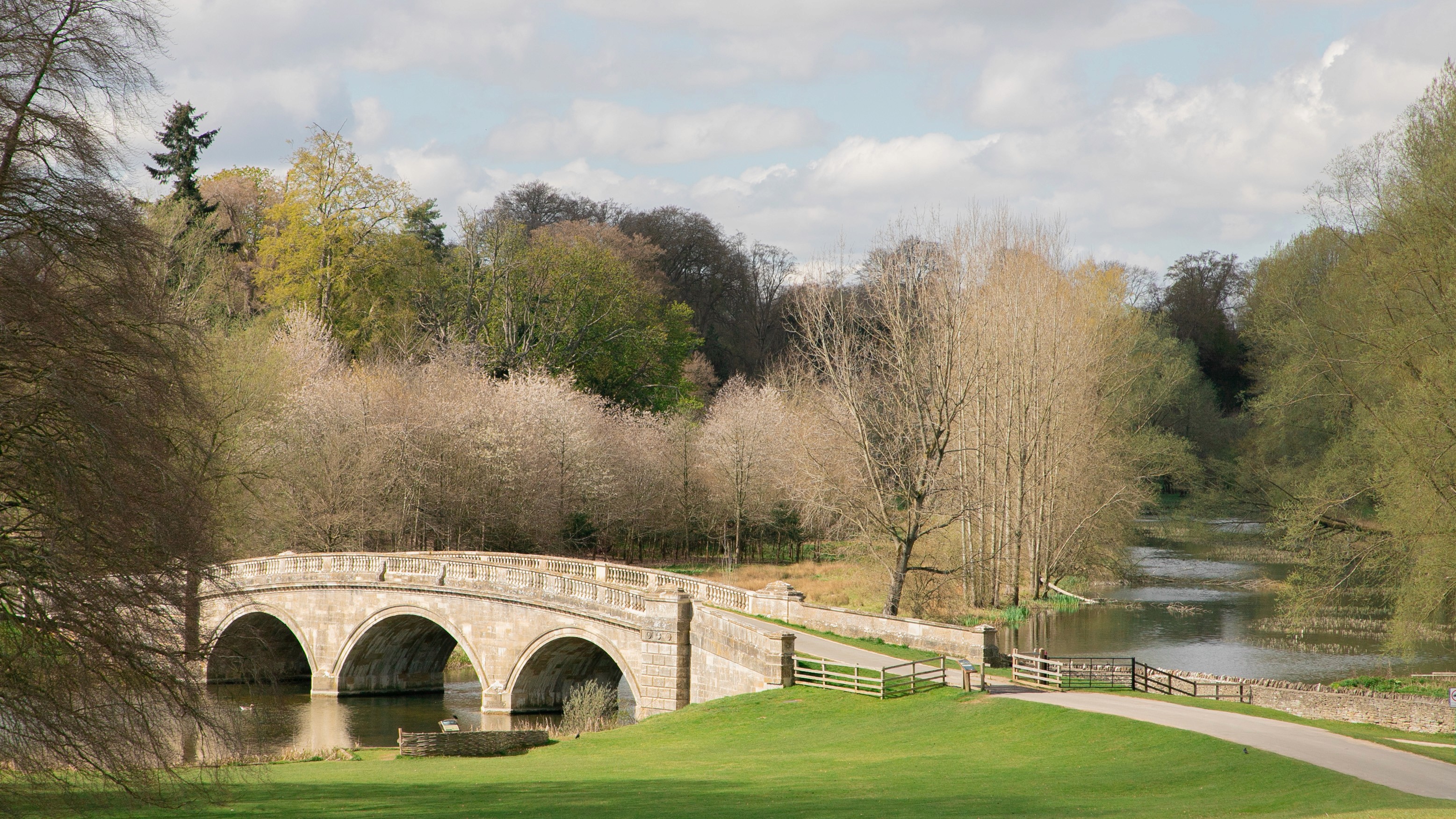 Two classic volkswagen beetles, one green, one cream.
