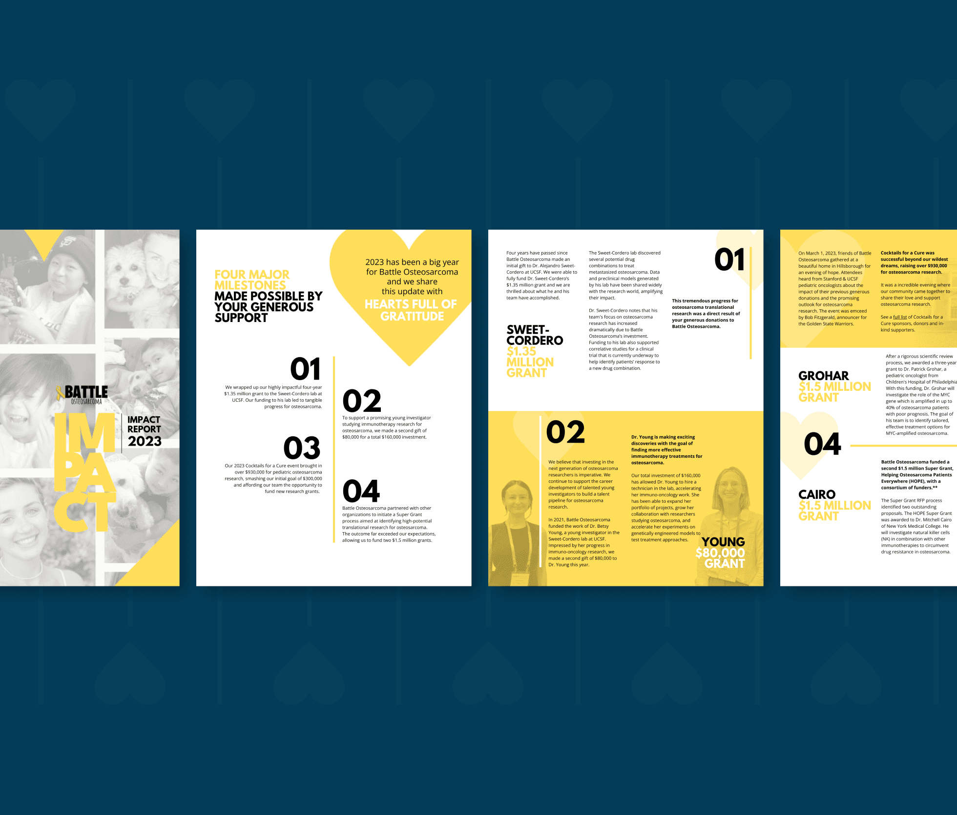 Large Project Gallery Image #2