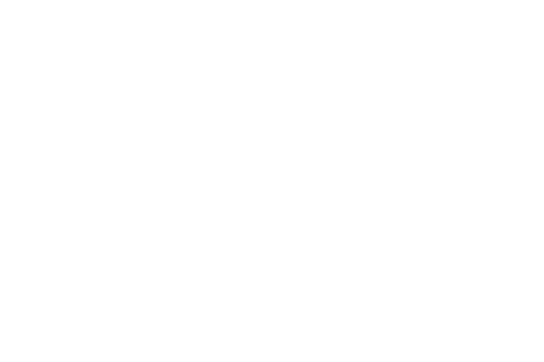 Logo for an imagined company