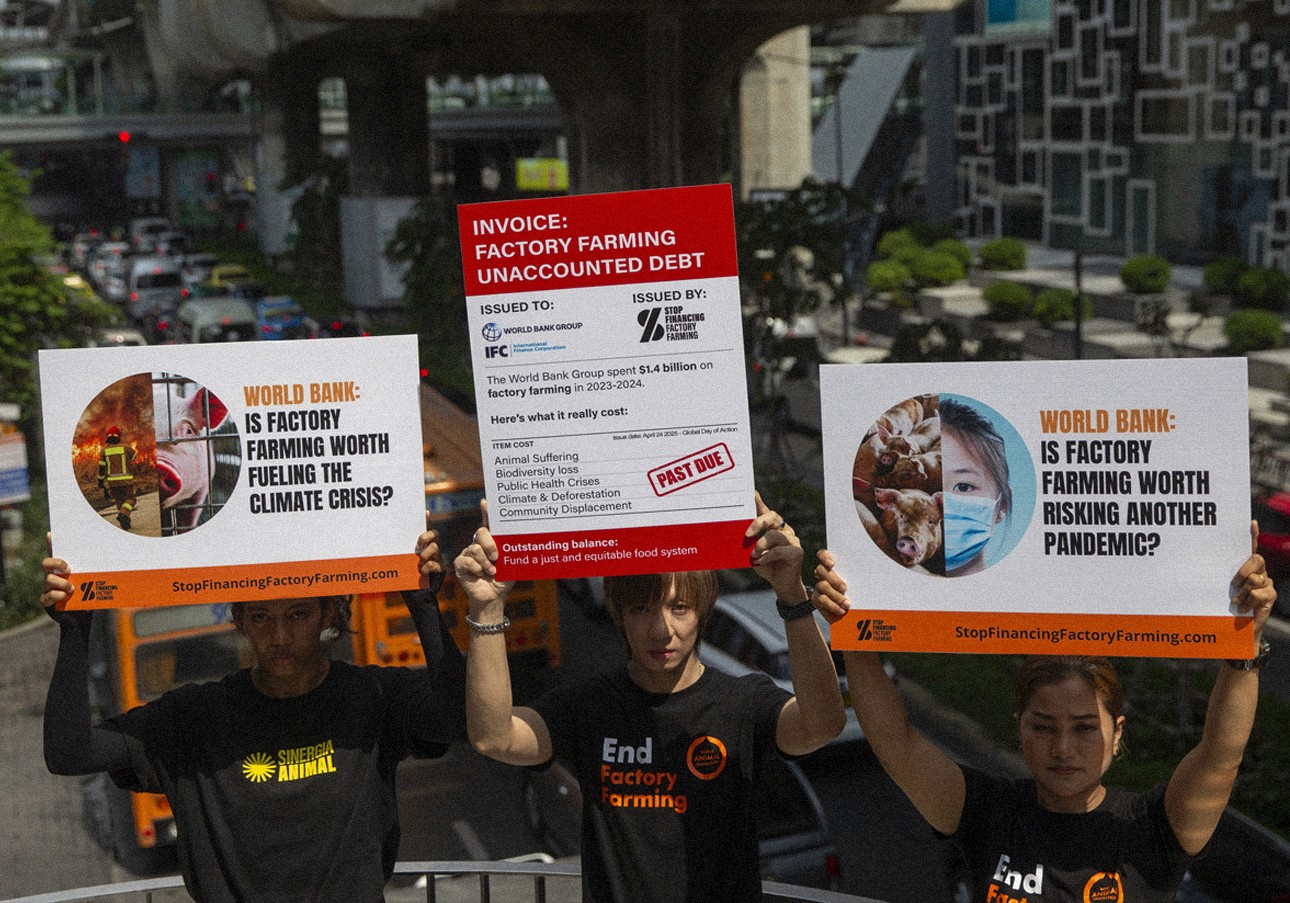 image at sfff protest