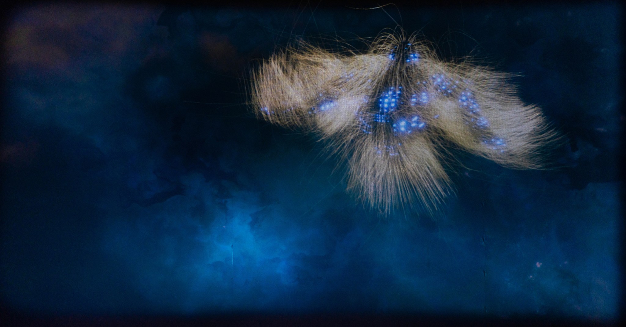 Humble Cottage (험블 코티지), 2023–2025  Single-channel, 4K video, sound, black and white / 싱글 채널, 4K 비디오, 사운드, 흑백  Edition 2/5 + 2 AP / 에디션 2/5 + AP 2점  Duration: 5:37 / 러닝타임: 5분 37초