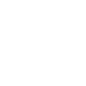 Orbit Icon 2