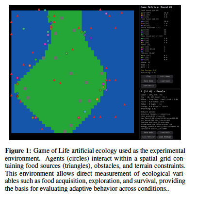 NxonLife artificial ecology simulation built on Conway’s Game of Life, showing Neuraxon agents (circles) interacting within a spatial grid containing food sources (triangles), obstacles, and terrain constraints, used for measuring ecological variables such as food acquisition, exploration, and adaptive behavior in Qubic’s brain-inspired AI research