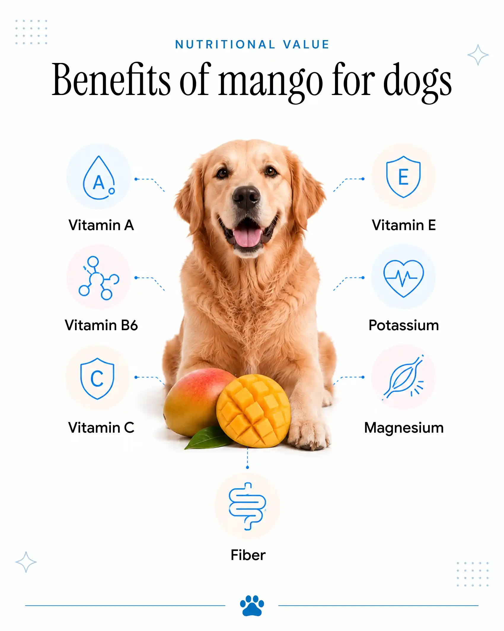 An infographic showing the benefits of mangos for dogs.