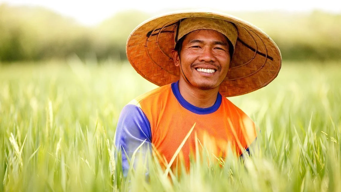 solar panels on the roof