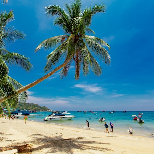 Desfrute de um passeio panorâmico pela ilha, apreciando vistas costeiras deslumbrantes.