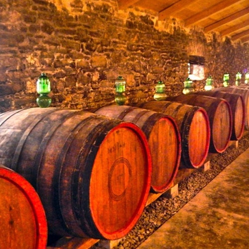 一個燈光微弱的地窖，牆邊擺放著一排排木桶，每個桶上都放著一個綠色玻璃瓶。