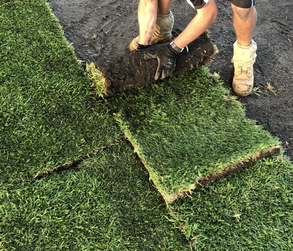 All Apsects Landscapes laying turf installation