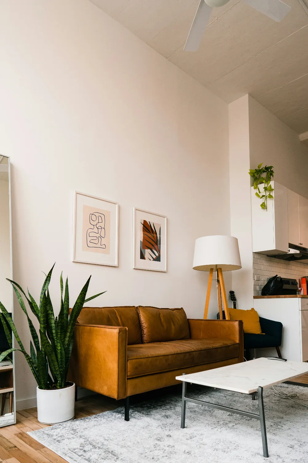 Modern basic home design