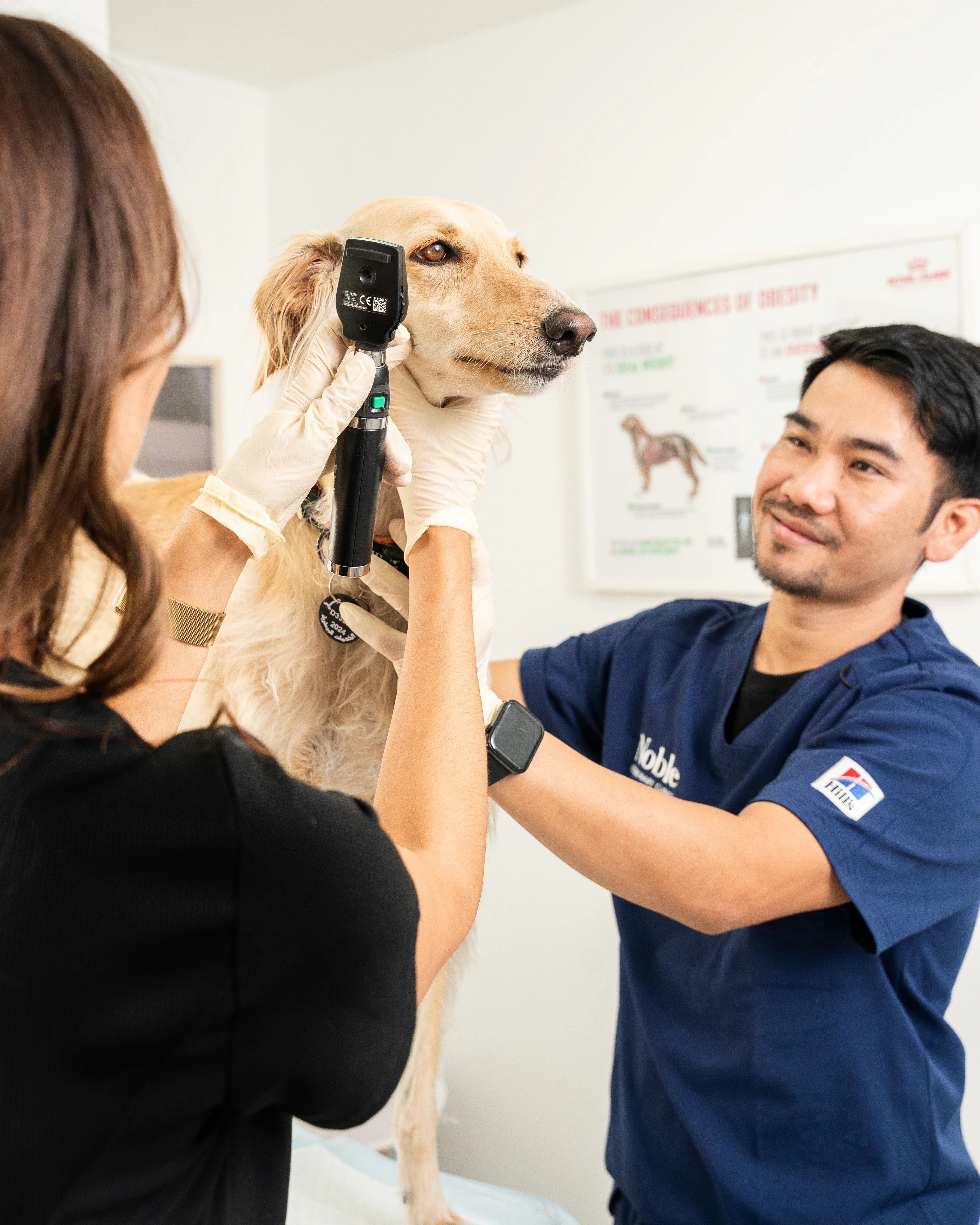 Our compassionate veterinarian happily says goodbye after treating a dog successfully in our vet clinic
