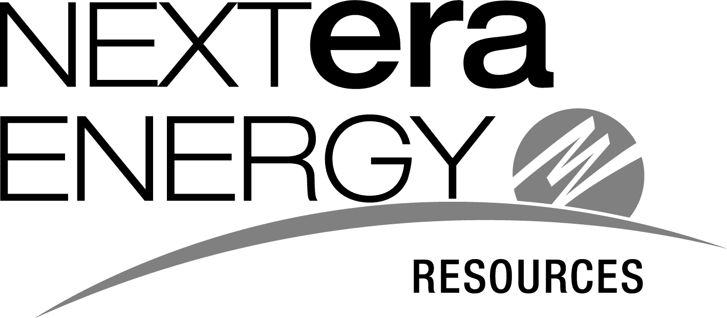 Logo of NextEra Energy featuring stylized text and an image of a power-generating wind turbine.