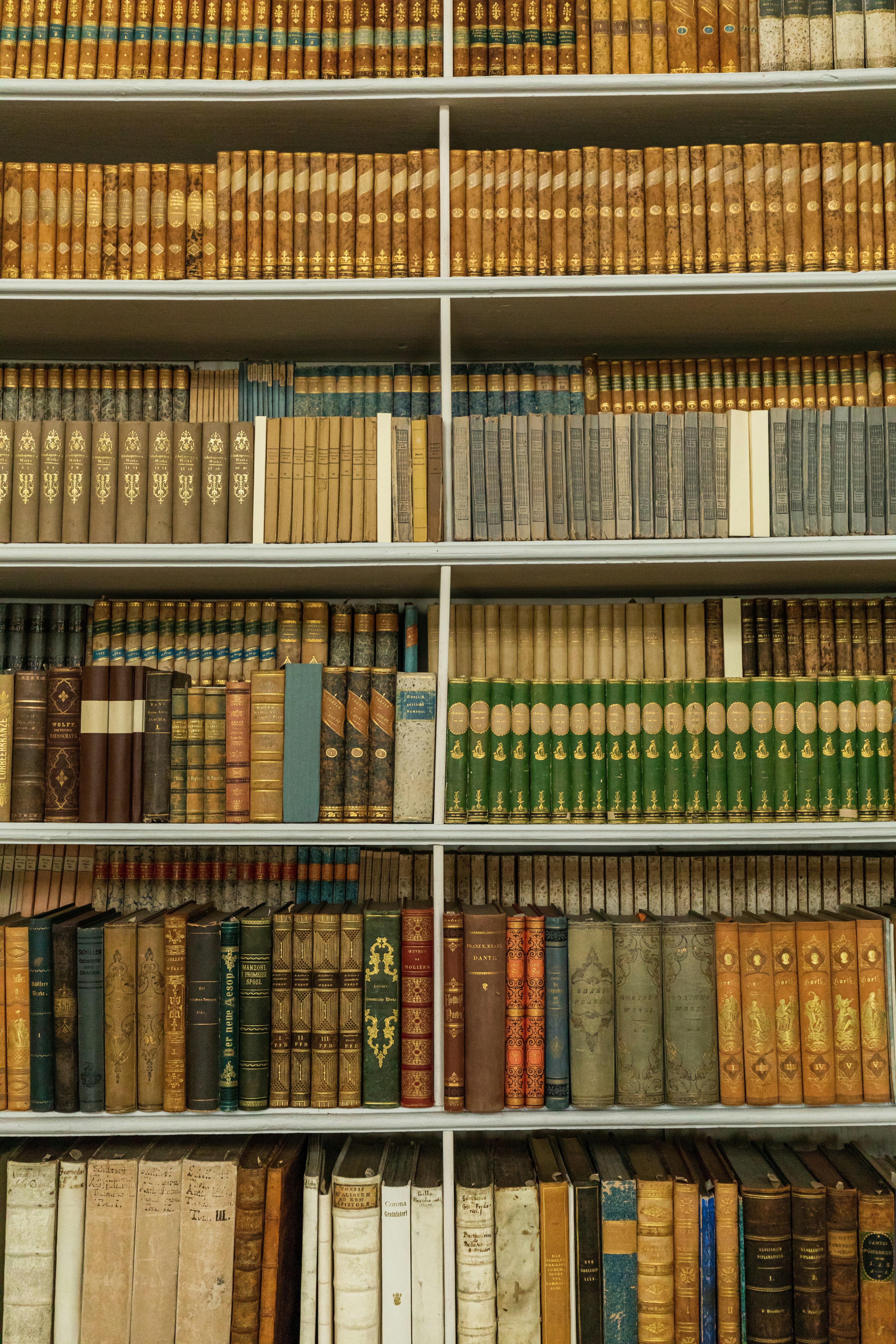 book lot inside shelves