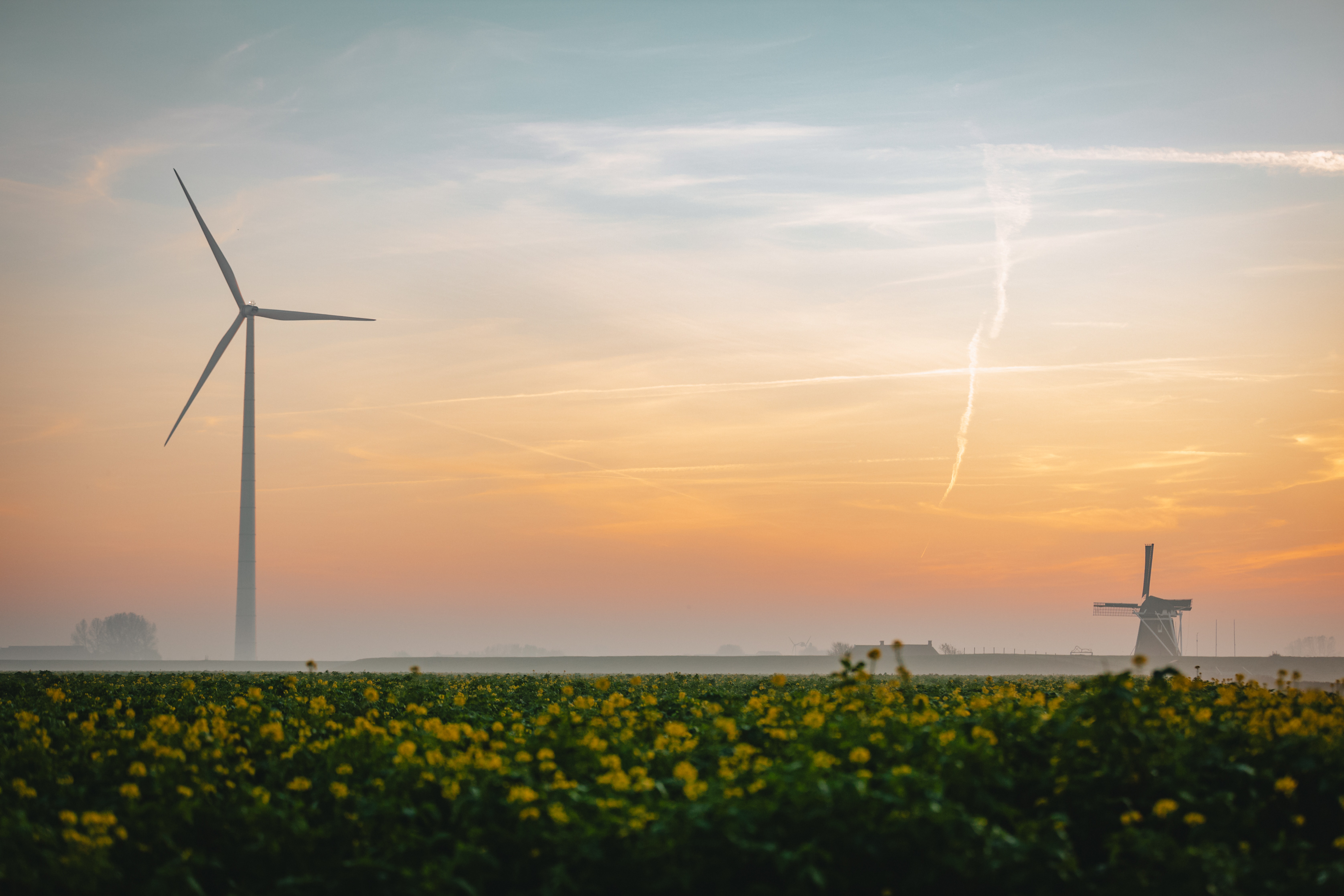 Een mistbank creëert een mysterieuze sfeer boven een Nederlands plattelandsboerenveld. Een oude windmolen en een moderne windturbine staan in harmonie, wat het samenspel symboliseert van traditionele en moderne technologie in duurzame energieproductie.