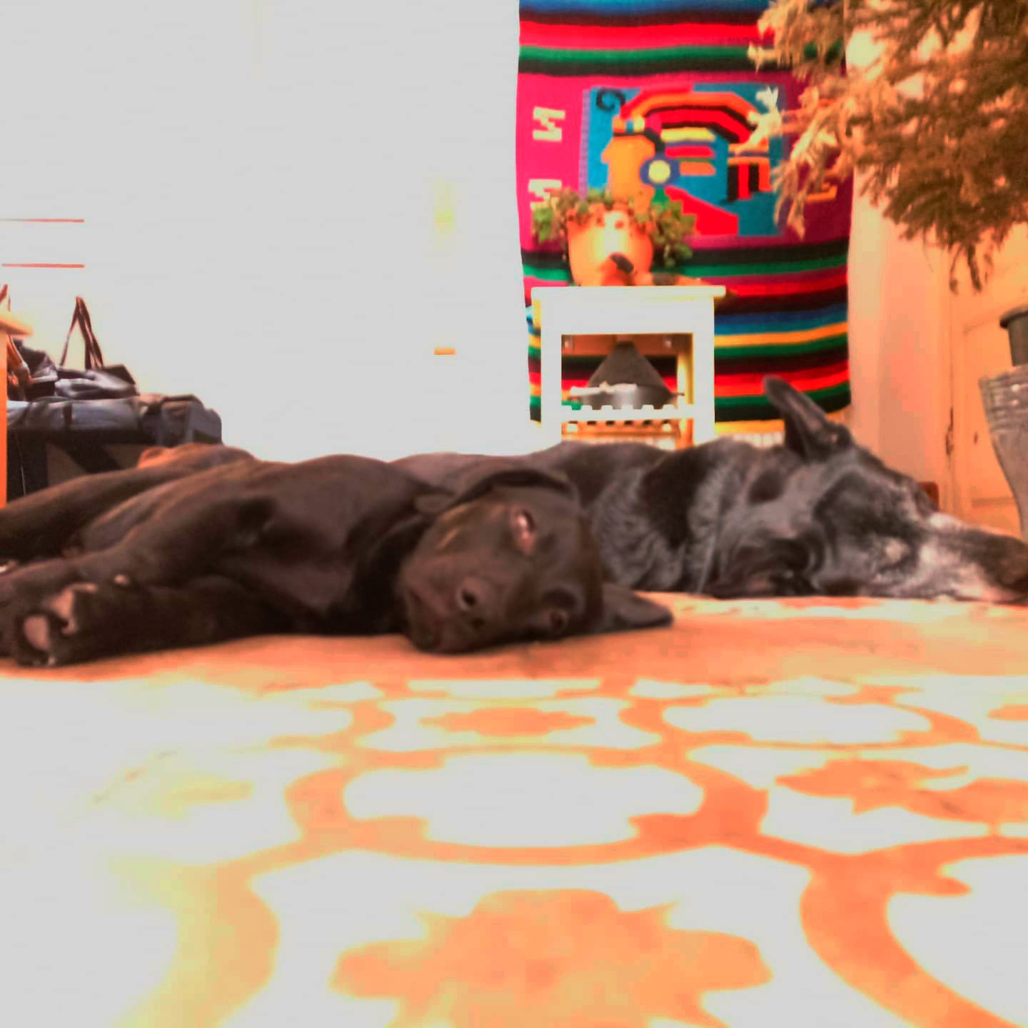 Man Wearing Sunglasses