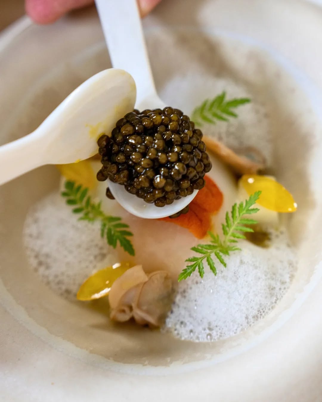 A close-up of an elegant dish featuring caviar on a small spoon, garnished with colorful components and delicate herbs. The dish is presented in a shallow bowl with a frothy element, showcasing a fine dining experience.