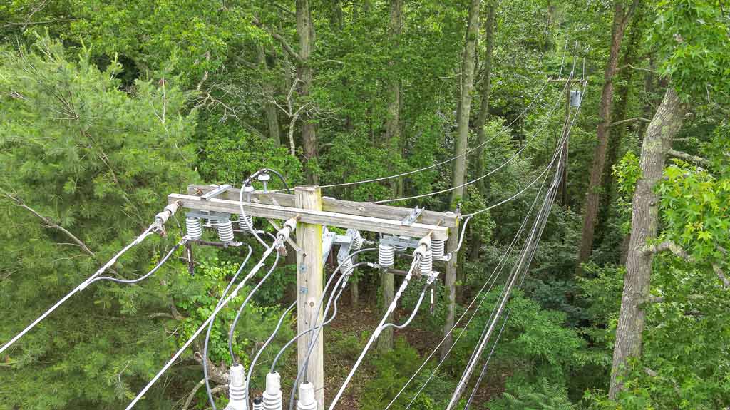 Vegetation Monitoring