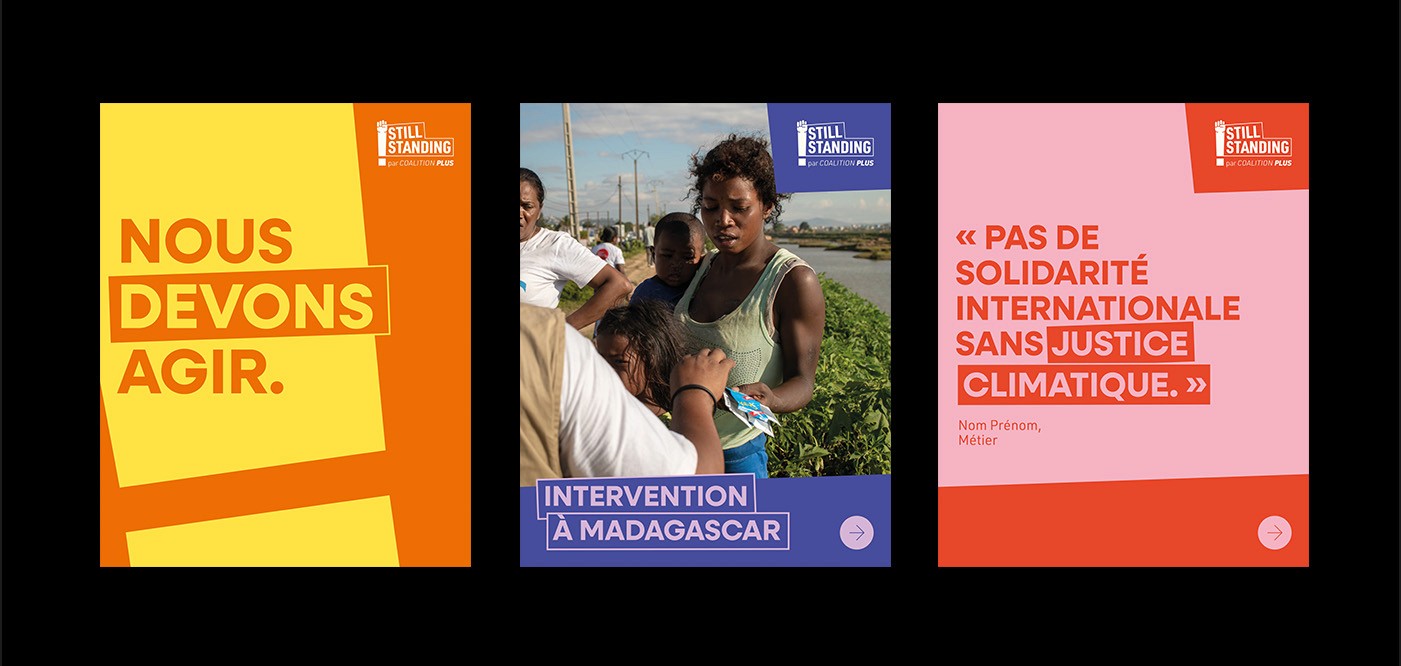 Identité visuelle Still Standing Coalition PLUS