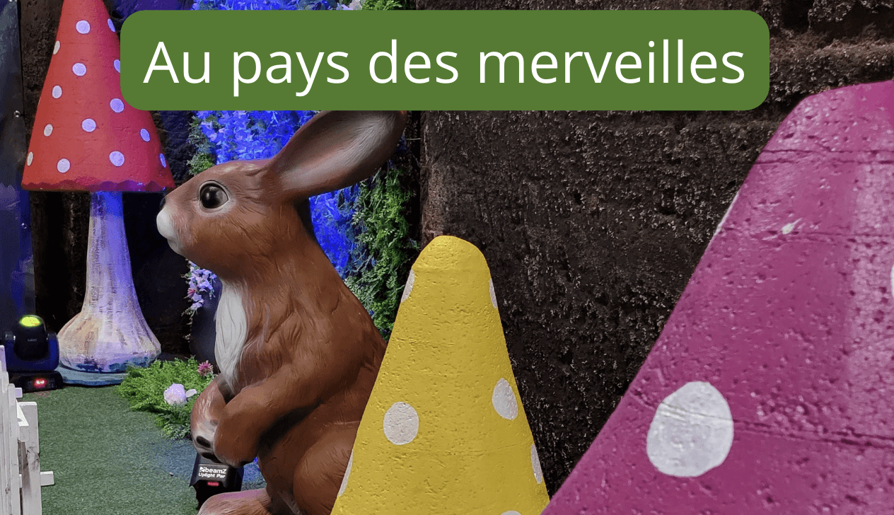 decor-soiree-theme-pays-des-merveilles