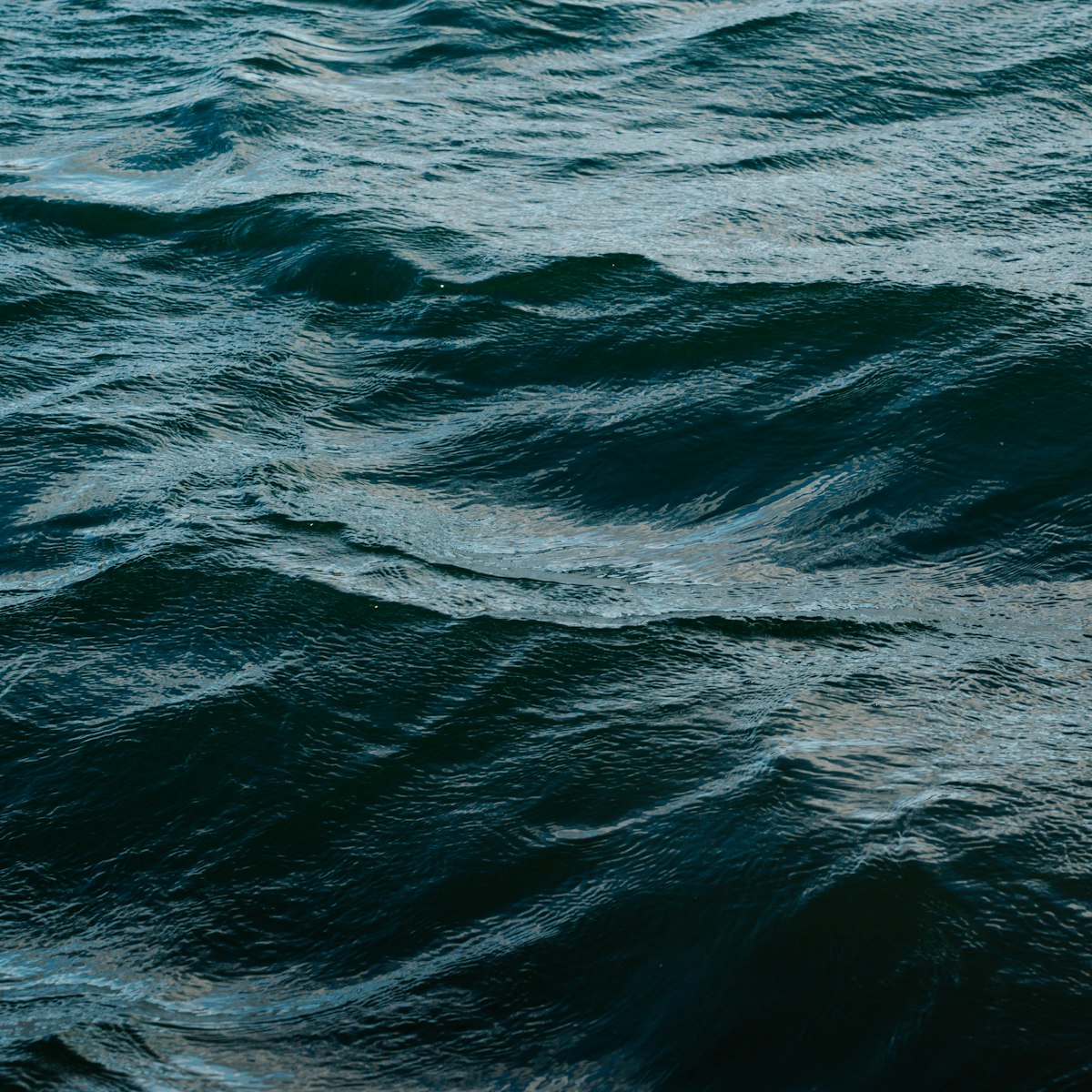 Windy Ocean Waves — a large body of water with waves in it