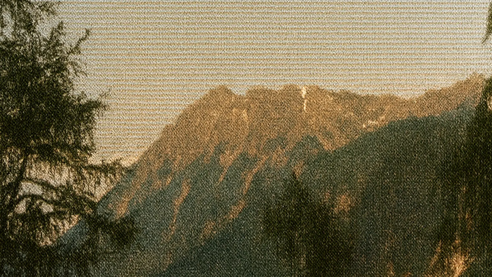 Mountain ridge at sunset with trees in the foreground