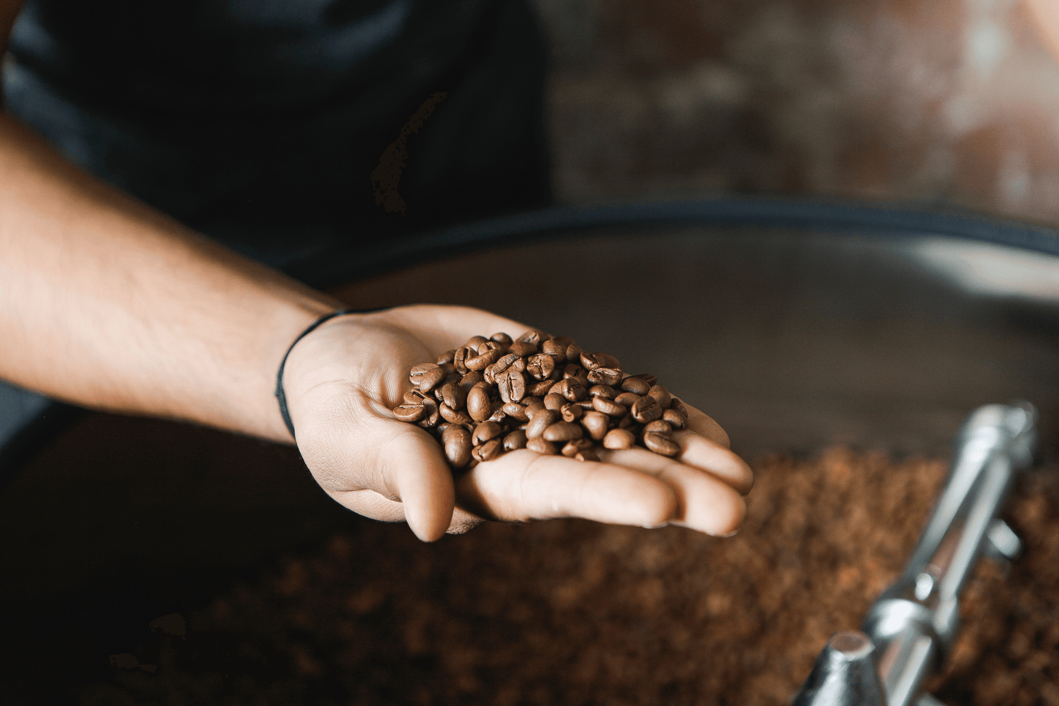 Hand holding freshly roasted Australian coffee beans, symbolising quality and local sourcing.