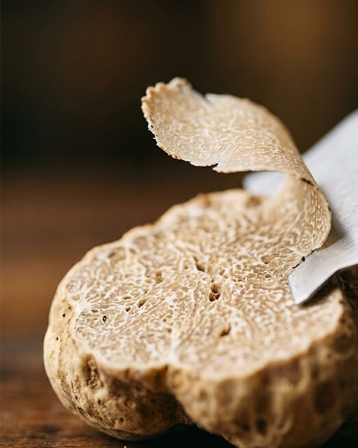 Белый трюфель Альба крупный план, аукцион трюфелей Пьемонт Италия