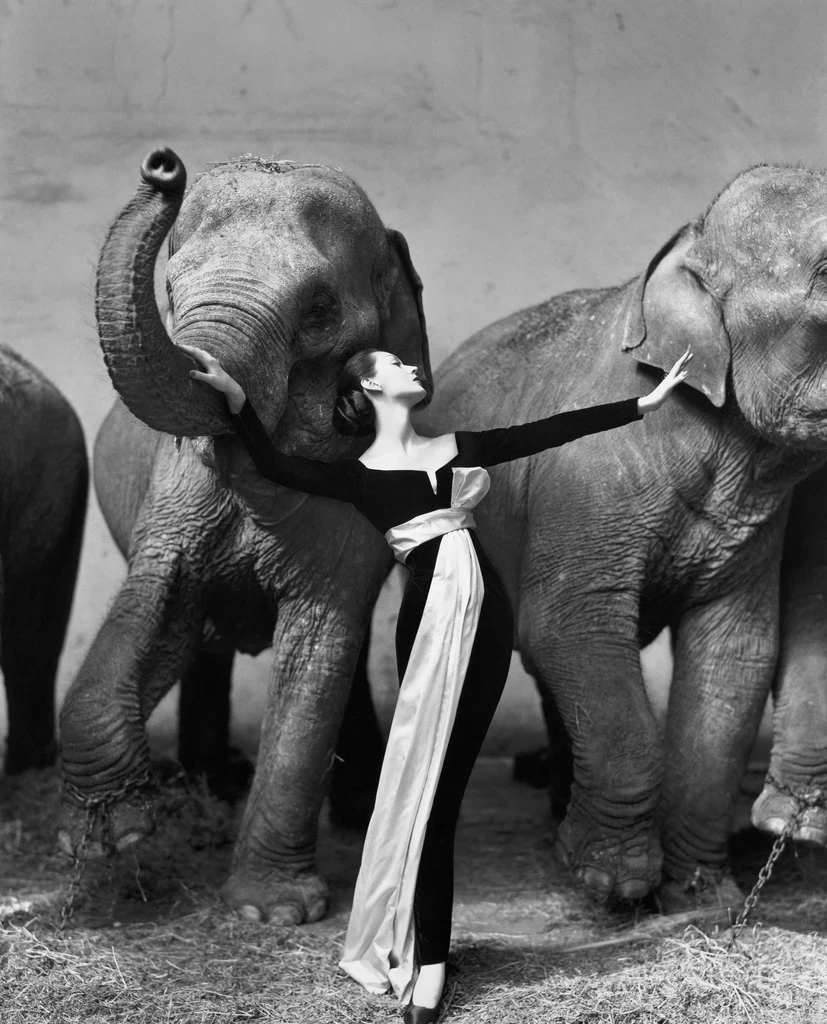 Richard Avedon photograph — “Iconic Avedon” exhibition at Gagosian Paris, article by Marine Aubenas for Studio Indice