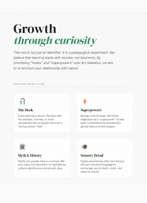 The image featured at the top of the about us page #2