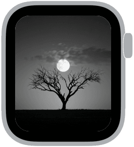 hallowmere Apple Watch face preview 2 featuring halloween and autumn.
