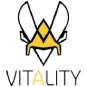 logo team vitality