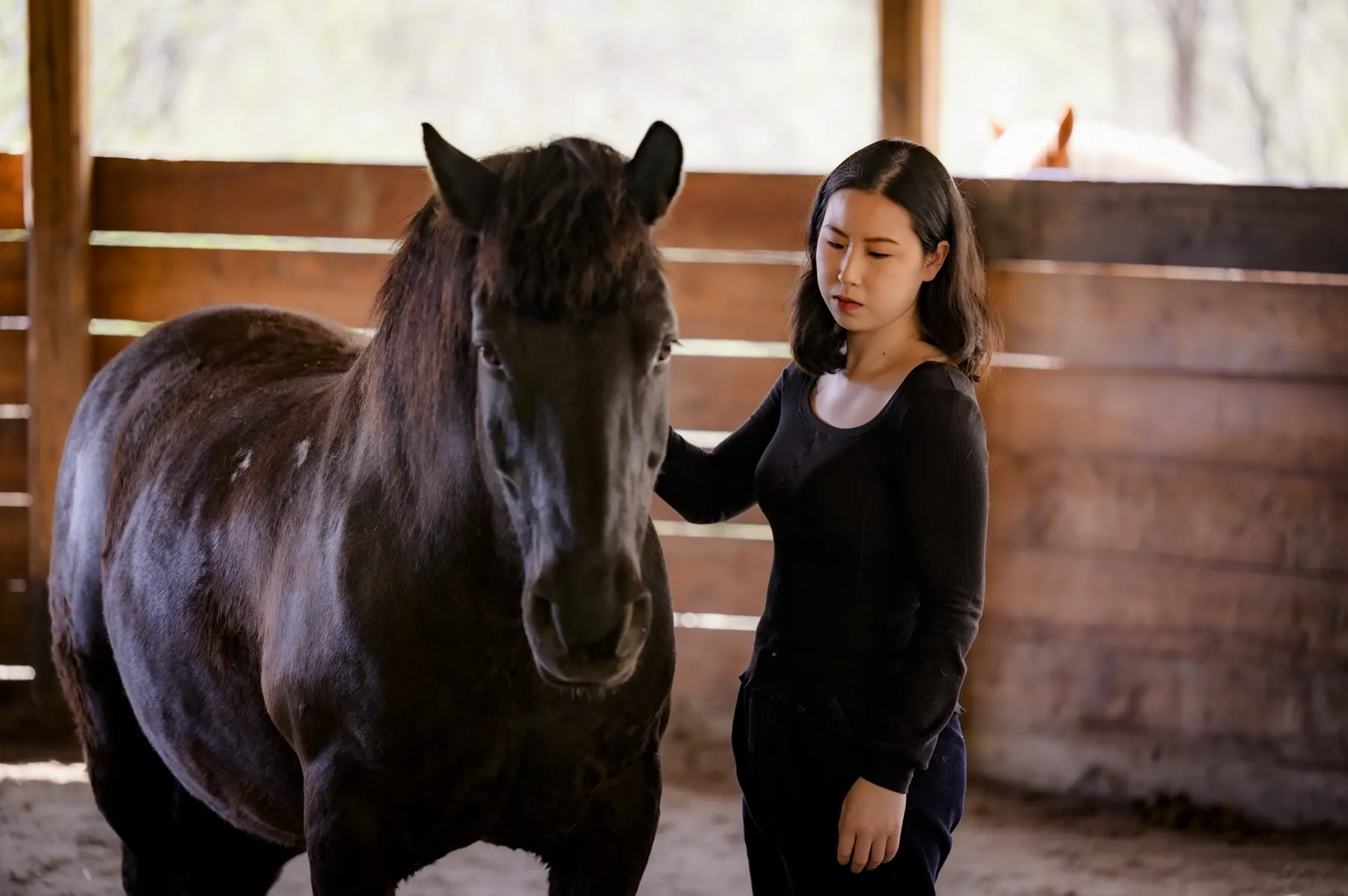 Una partecipante accanto a un cavallo nella scuderia