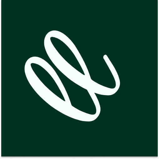 Looplytic - AI Survey Creator