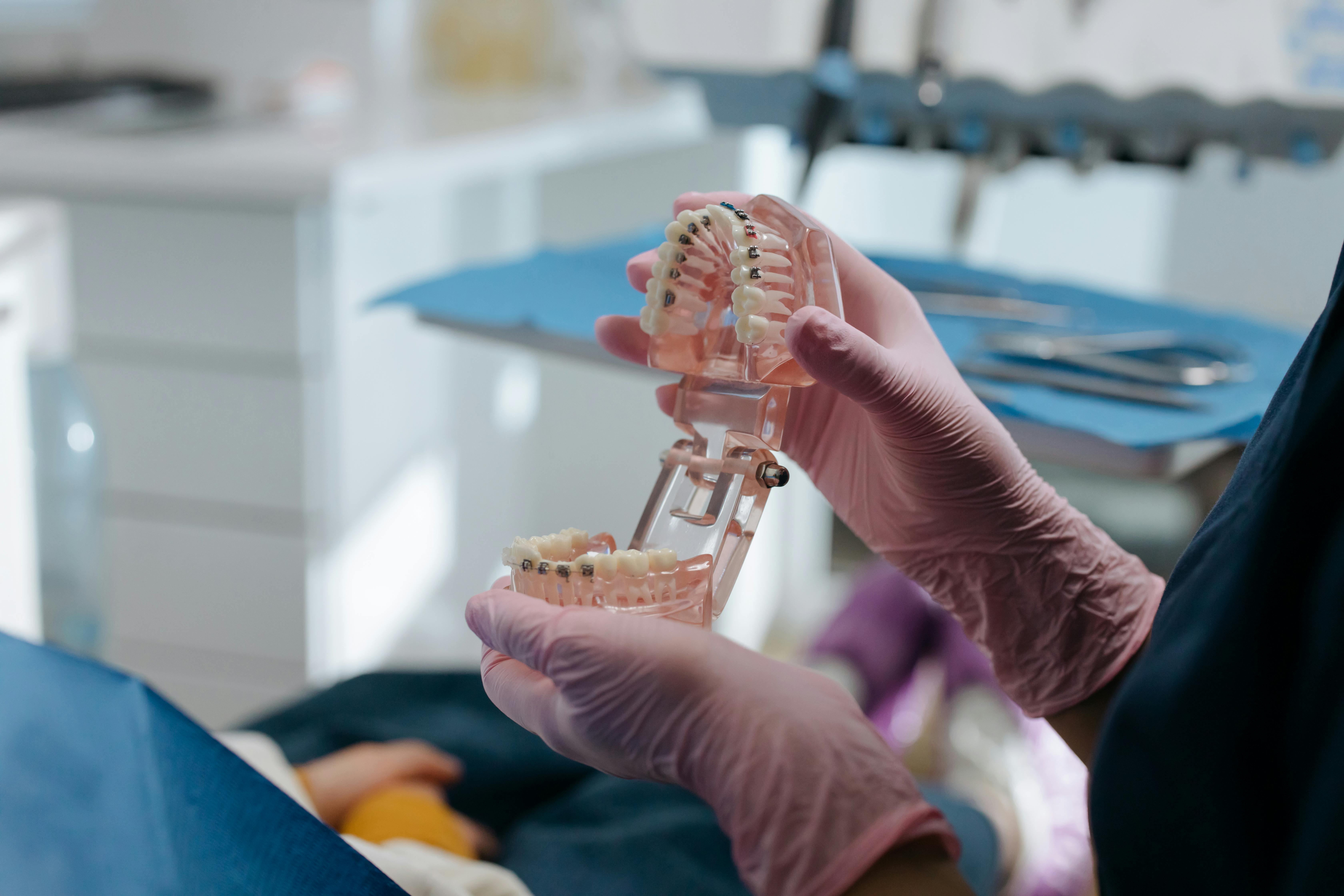 dentist showing patient model of teeth
