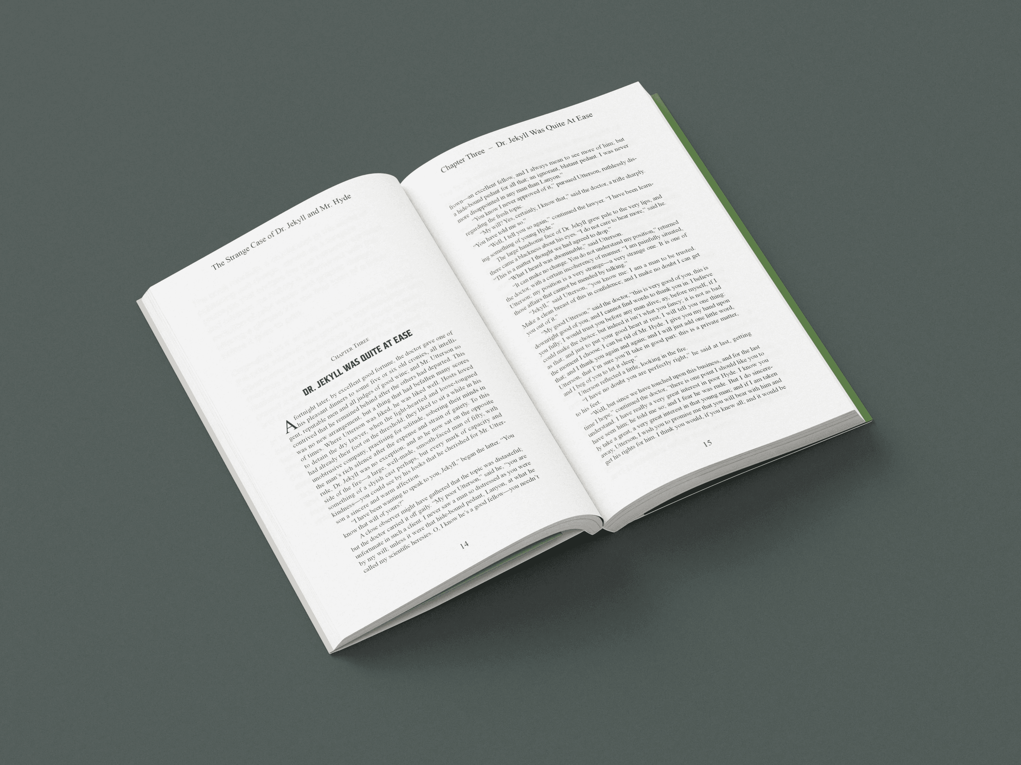 Book page spread mock up