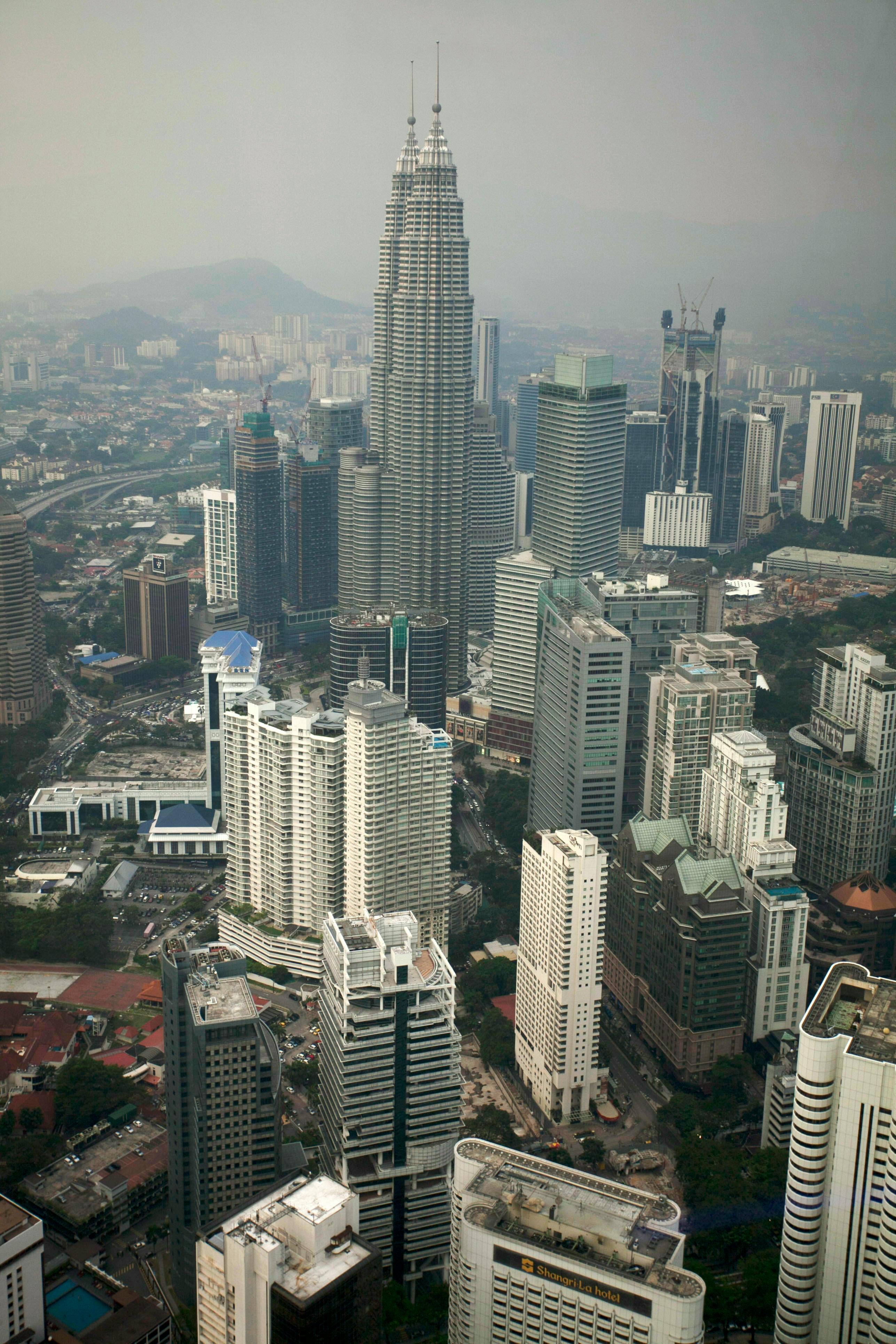 Close-up of a tree stump showing growth rings and a textured brown wood surface.