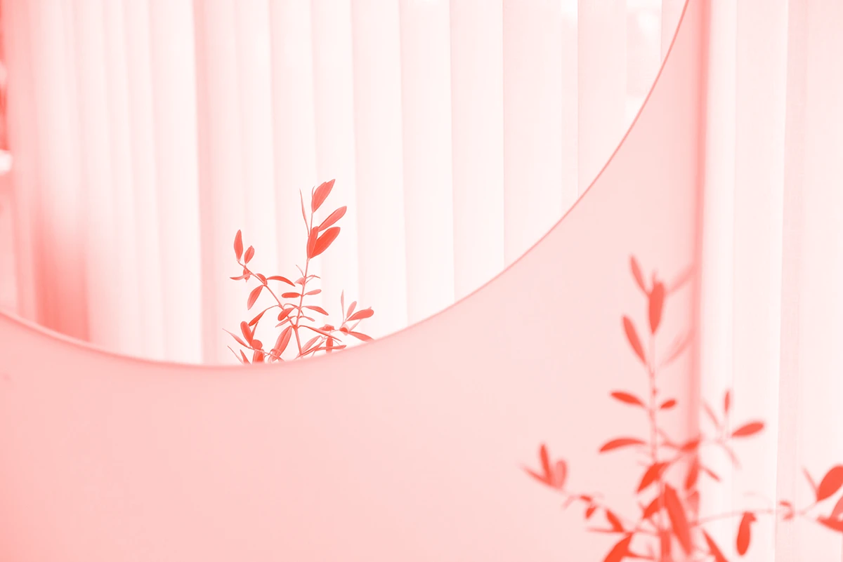 blog post image