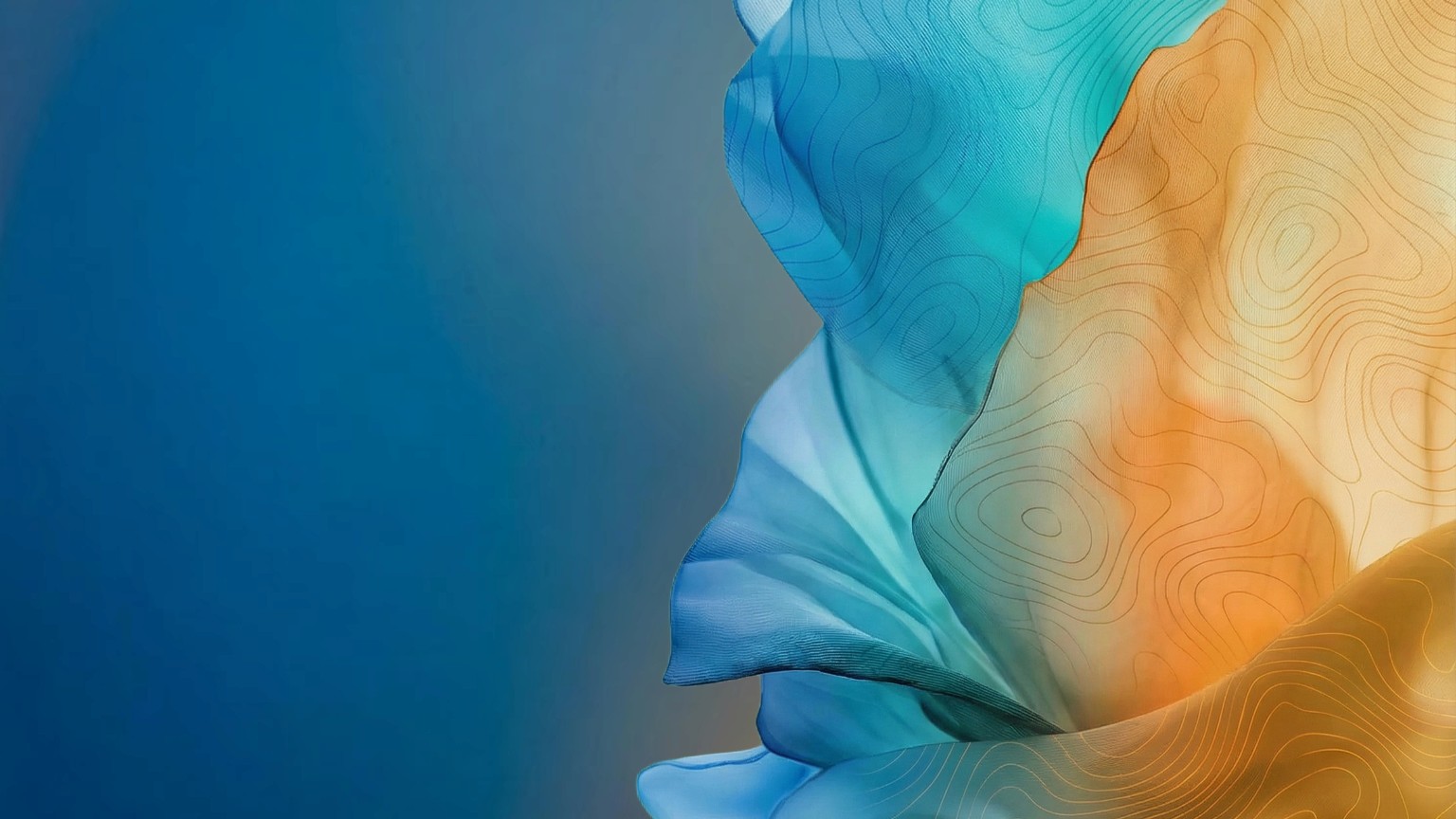 إجراء تشكيل حميمي بواسطة الدكتور ميغيل برافو في أبوظبي