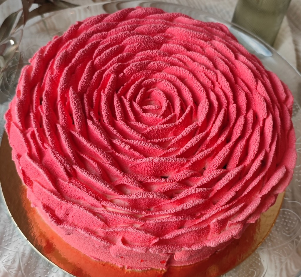 Tarte choco-coco sans lactose et sans gluten maison pastel patisserie Cognac
